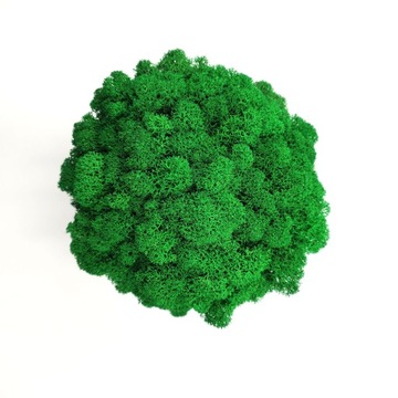 Doniczka z mchem chrobotkiem MECH CHROBOTEK w doniczce brązowa druk 3d