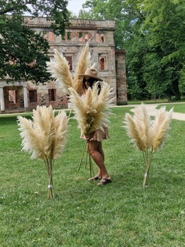 Сушеная пампасная трава премиум-класса для вазы высотой 140 см.