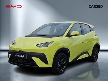 BYD 2025 BYD Dolphin Surf