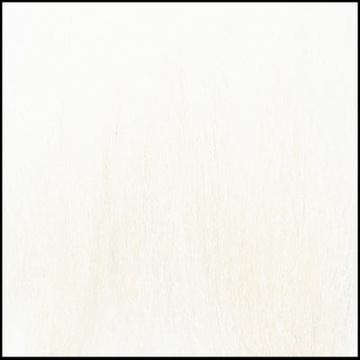 SNOW RUNNER FD2500 White