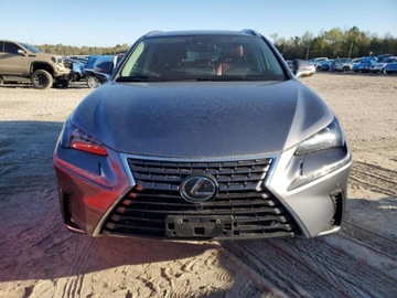 Lexus NX II 2021 Lexus NX 300 Base 2021 2.0l 2.0 Benzyna 235KM, zdjęcie 5