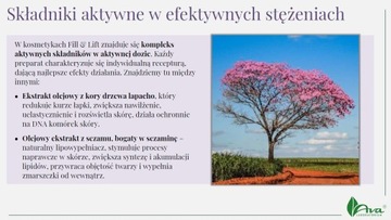 AVA FILL & LIFT Krem do twarzy wypełniacz d/n