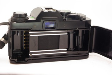 BODY Olympus OM40 Программа V.NICE