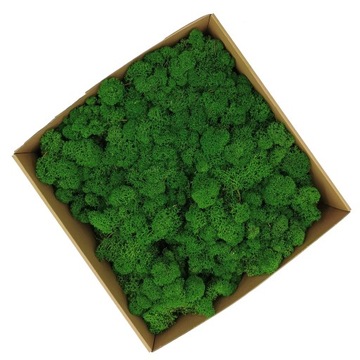 Альпийский мох 500г.