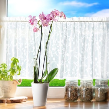 ЦВЕТОЧНЫЙ ВАЗОН С КРЫШКОЙ ДЛЯ ОРХИДЕИ, ПЛАСТИКОВАЯ ПОДСТАВКА ДЛЯ ЦВЕТОВ, 13 СМ, БЕЛЫЙ КАДАКС