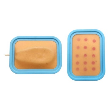 2 . Model treningowy gąbki Praktyka studencka