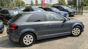 Audi A3 8P Hatchback 3d 1.6 TDI 105KM 2010 Audi A3 3-drzwiowe 1.6TDi OPŁACONY Bezwypadkowy, zdjęcie 13