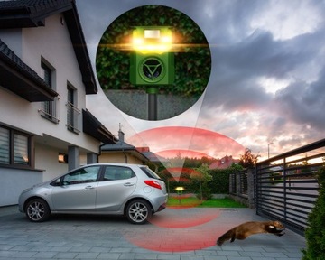 УЛЬТРАЗВУКОВОЙ ОТПУСКАТЕЛЬ КУНИЦЫ ОТ МУЖЧИН БЕЗ ВРЕДИТЕЛЕЙ ПЛАМЯ ГАРД