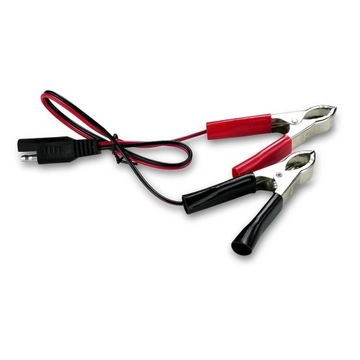 Выпрямитель зарядного устройства 6В/12В everActive CBC-1 V2