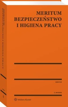 MERITUM BEZPIECZEŃSTWO I HIGIENA PRACY JE.. EBOOK