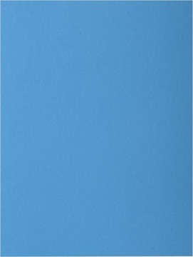 ST36 Teczka Exacompta 217119E A4 24x32cm 10szt