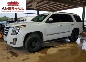Cadillac Escalade III 2020 Cadillac Escalade Luxury 2020 6.2l 6.2 Benzyna 420KM