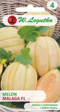 Melon Malaga F1 0,5 g Legutko