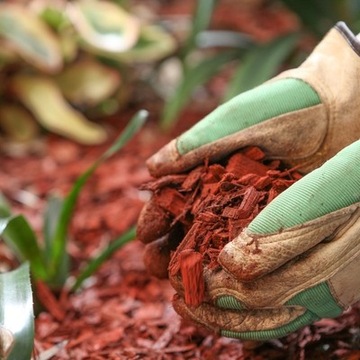 Щепа цветная декоративная КОРА 50л садовая ЖЕЛТАЯ