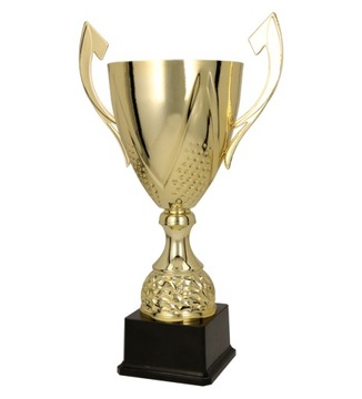 Puchar metalowy złoty DARKA 27cm