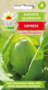 KAPUSTA EXPRESS Super wczesna biała nasiona 1g