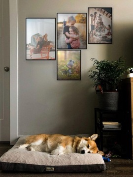 Плакат на заказ 50х60 см. Цифровая печать 200г/м2.