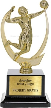 statuetka siatkówka 18cm + grawerka GRATIS
