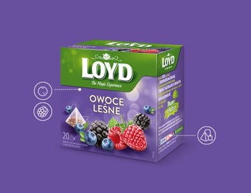 Фруктовый чай Лесные фрукты Цветок гибискуса Черноплодная рябина Лакрица 20 т LOYD