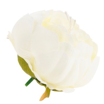 ПИОН ПРОДУКТ ПИОН ПИОН ЦВЕТОК ГОЛОВКА ДЛЯ СВЯЗОК СЛОВ