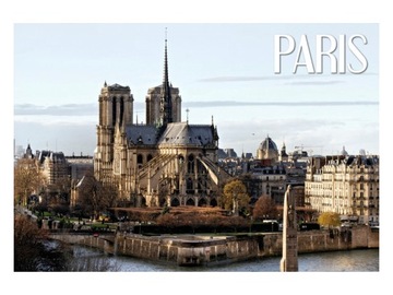 PARYŻ - Katedra - Notre Dame - Magnes na lodówkę