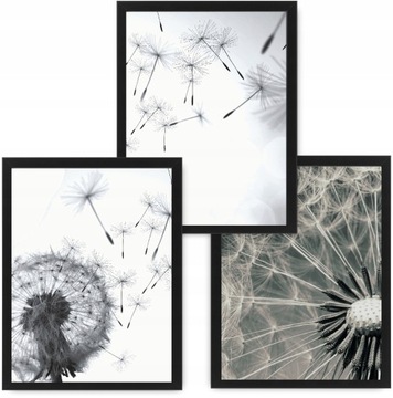 DMUCHAWCE 3 obrazy 33x43 plakaty, ramy ikea #83