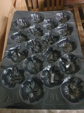 wytłoczka na jabłka tacka czarna