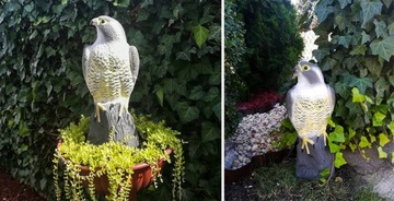 ОТПУСКАТЕЛЬ ПТИЦ, Скворцы, Голуби, МЫШИ, БОЛЬШИЕ, ЯСКОВ, СОКОЛ