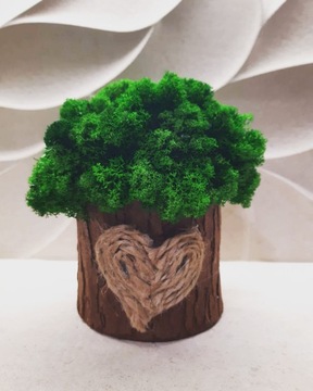 УКРАШЕНИЕ МОХ ХРОБОТЕК ВЕДРО УКРАШЕНИЕ ДОМА