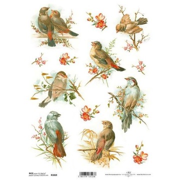Papier ryżowy do decoupage A4 ITD-R1069 ptaszki