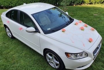 Живописное украшение автомобиля Украшение автомобиля ПЕРО