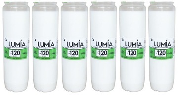 6x WKŁAD OLEJOWY do zniczy LUMIA 120 godzin=5 dni