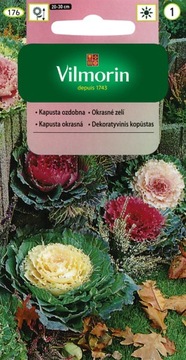 Kapusta ozdobna 0,1g Vilmorin BARDZO DEKORACYJNA