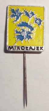 ZNACZEK PRZYPINKA ROŚLINY KWIATY MIKOŁAJEK