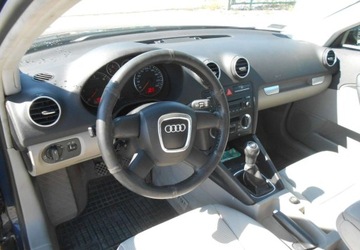 Audi A3 8P Hatchback 3d 1.9 TDI 105KM 2006 Audi A3 Sportback Audi A3 II (8P) sportbag 1.9 Diesel 105KM, zdjęcie 8