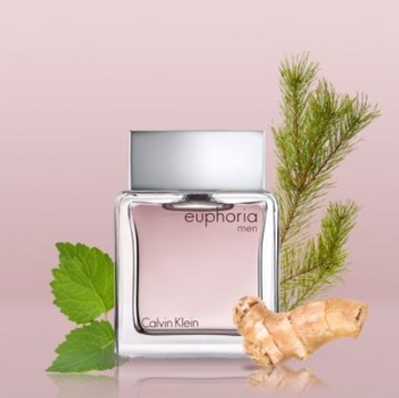 Calvin Klein EUPHORIA MEN 50 мл EdT ToaletoW-wa