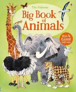 Big Book of Animals HAZEL MASKELL