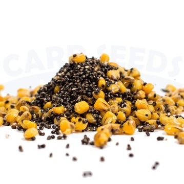 Miks B Konopie/Kukurydza-Truskawka 2kg CarpSeeds