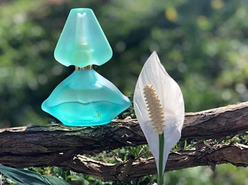 САЛЬВАДОР ДАЛИ ЛАГУНА EDT 100МЛ