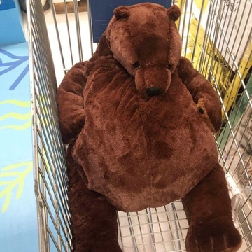 Объятие плюшевого мишки IKEA Djungelskog 100см