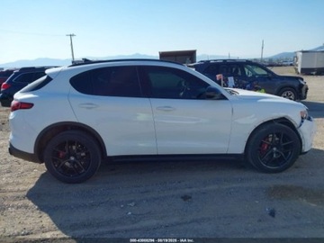 Alfa Romeo Stelvio SUV 2.0 Turbo 280KM 2019 Alfa Romeo Stelvio 2019 ALFA ROMEO STELVIO TI SPORT AWD 2.0 Benzyna 280KM, zdjęcie 5