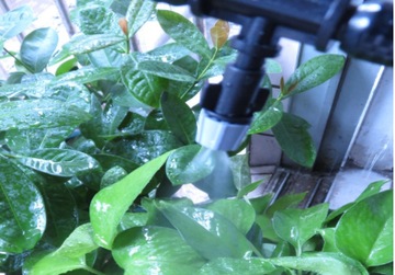 ВОДЯНАЯ ЗАВЕСА ДЛЯ САДОВЫХ ДОЖДЕВАТЕЛЕЙ, 20 ФОРСУНОК