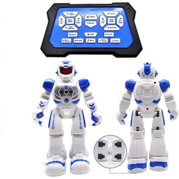 ПРОГРАММИРУЕМЫЙ ИНТЕРАКТИВНЫЙ РОБОТ С ДИСТАНЦИОННЫМ УПРАВЛЕНИЕМ