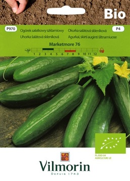 OGÓREK SZKLARNIOWY EKOLOGICZNY BIO MARKETMORE 3g VILMORIN