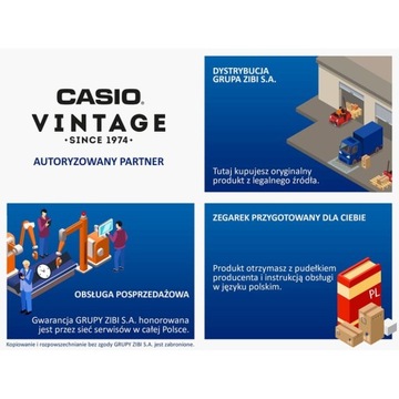 ZEGAREK CASIO VINTAGE ABL-100WEGG-1B Bluetooth, krokomierz