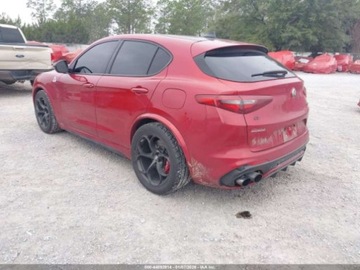 Alfa Romeo Stelvio 2019 Alfa Romeo Stelvio Quadrifoglio 2019 2.9 Benzyna 505KM, zdjęcie 3