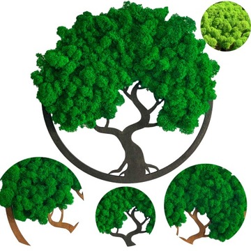 OBRAZ Z MCHU BONSAI MECH CHROBOTEK DRZEWO ŻYCIA DRZEWKO SZCZĘŚCIA