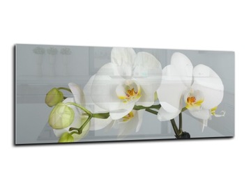 panel szklany do kuchni lacobel 125x50 kwiat