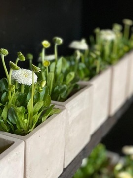 BETONOWA OSŁONKA DONICZKA KWADRAT 16cm SZARA