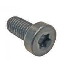 Śruba TORX do głowiczek pomp Bosch CP1 M8x16